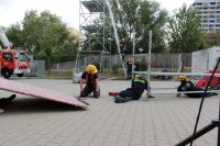 IMG_9810 (Large)